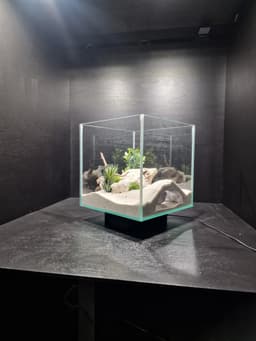 Aquarium & Terrarium Elephant Nose Tunnel Cave | Fish Tank and Terrarium Decoration 3d model