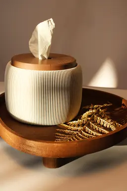 3d model
