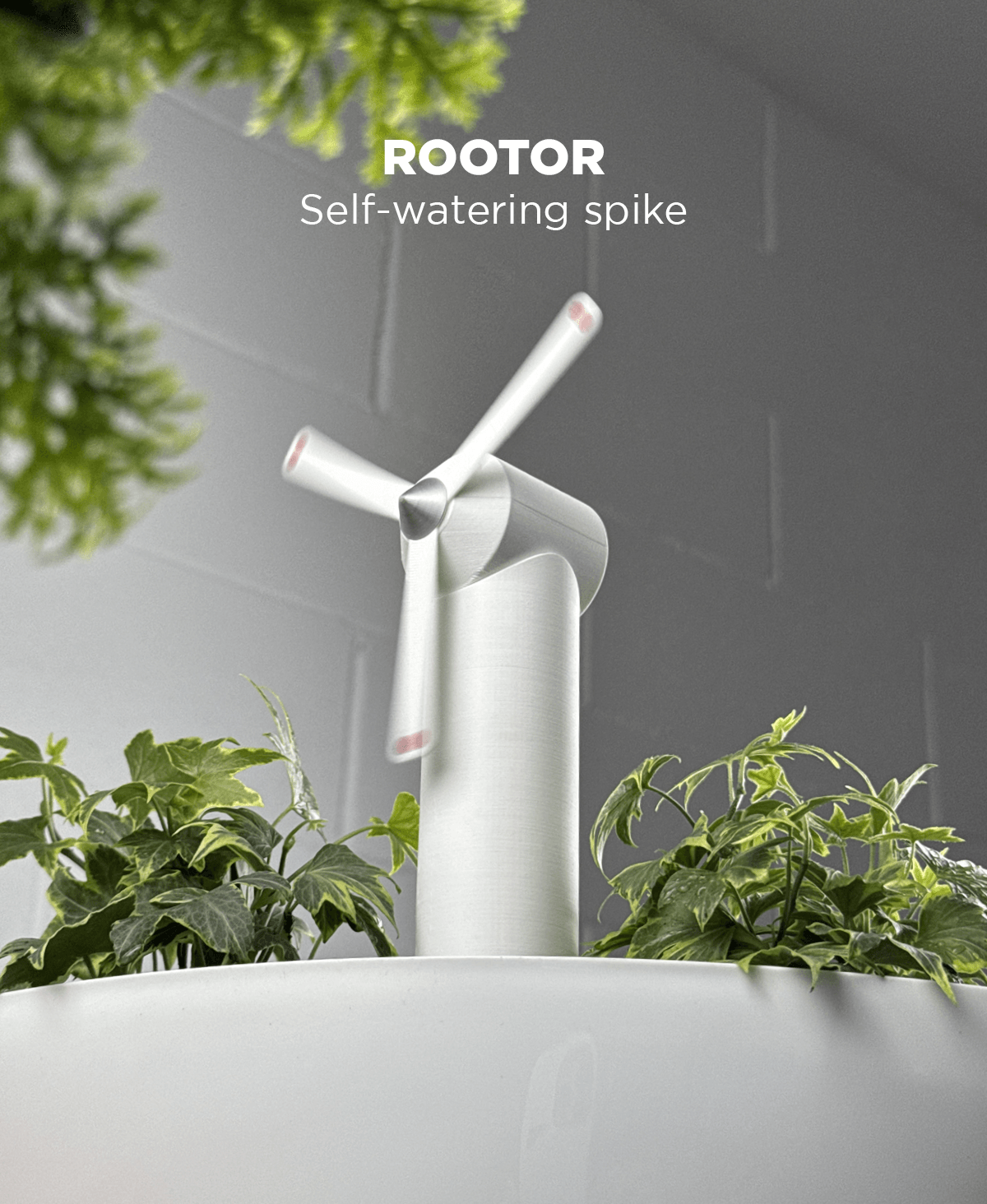 Rootor, Self-watering spike. 3d model