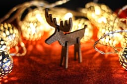 Rudolph, the Red-Nosed Reindeer by BOUNCE PRINTS 3d model