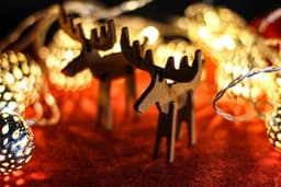 Rudolph, the Red-Nosed Reindeer by BOUNCE PRINTS 3d model