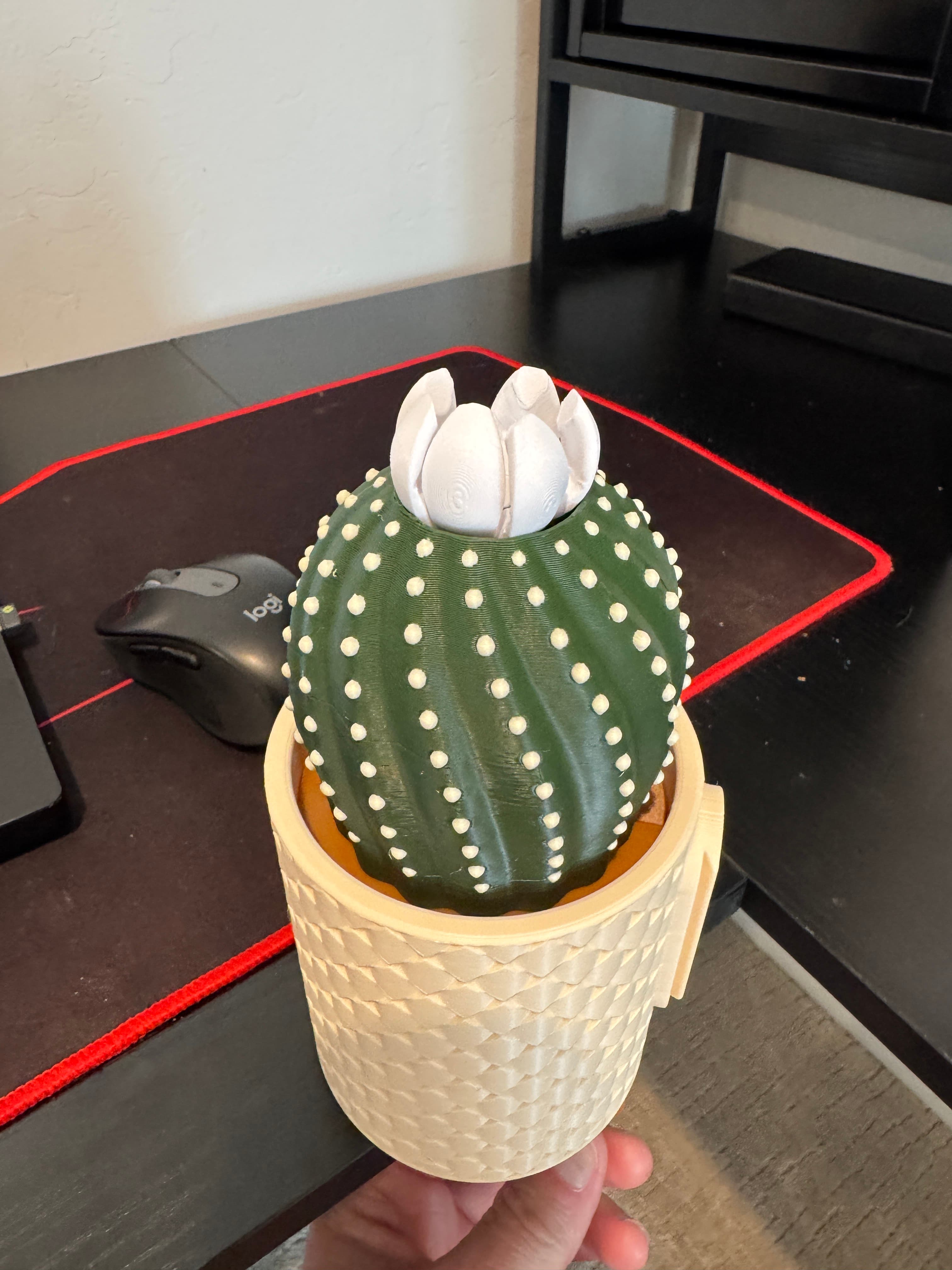 Not sure what I am doing wrong, the flower won't bloom all the way...