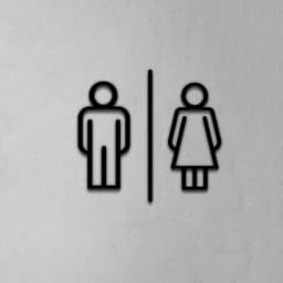 Toilet Sign 3d model