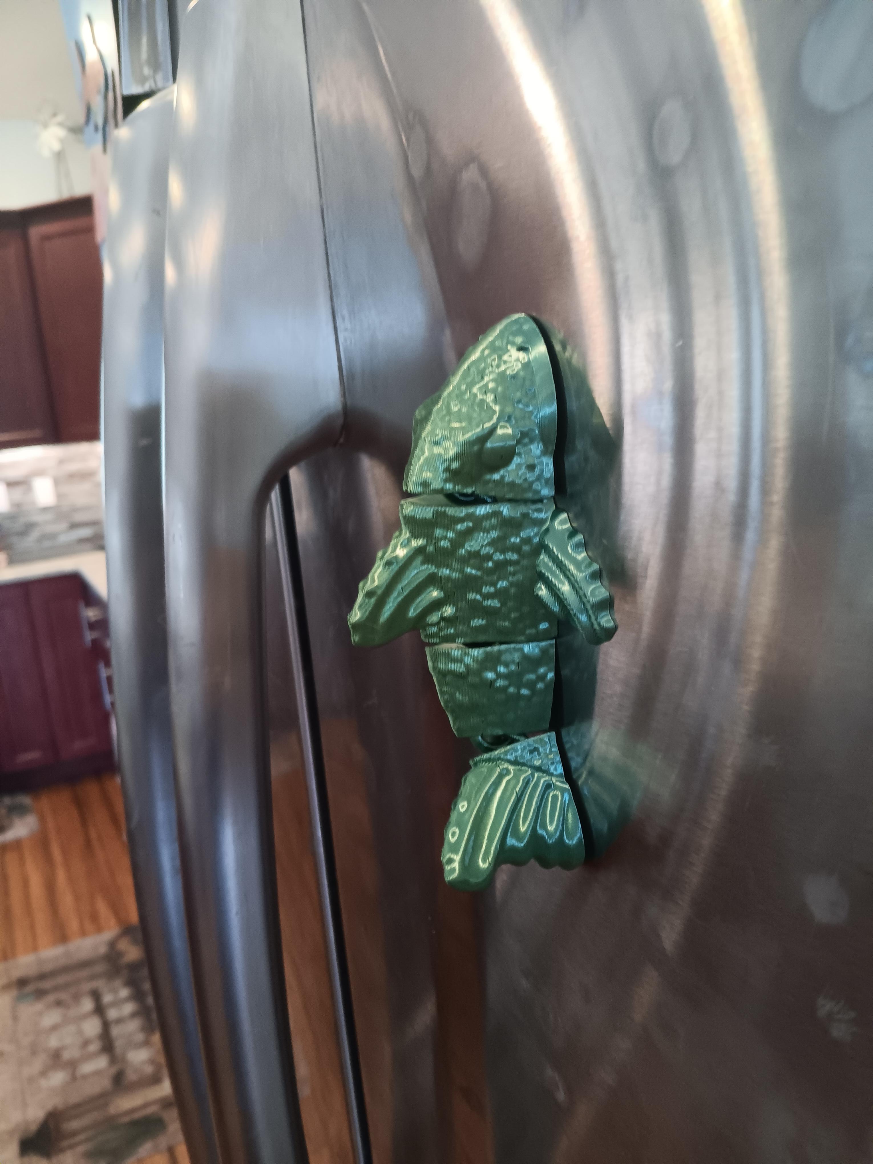 Flexi Koi fish magnet - print in place - flexi fidget toy - refrigerator magnet 3d model