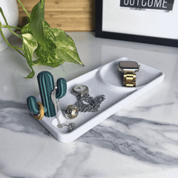 Cactus Jewelry Pocket Emptier, Desk Organizer Design 3d model