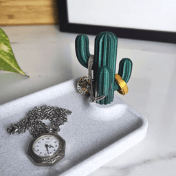 Cactus Jewelry Pocket Emptier, Desk Organizer Design 3d model