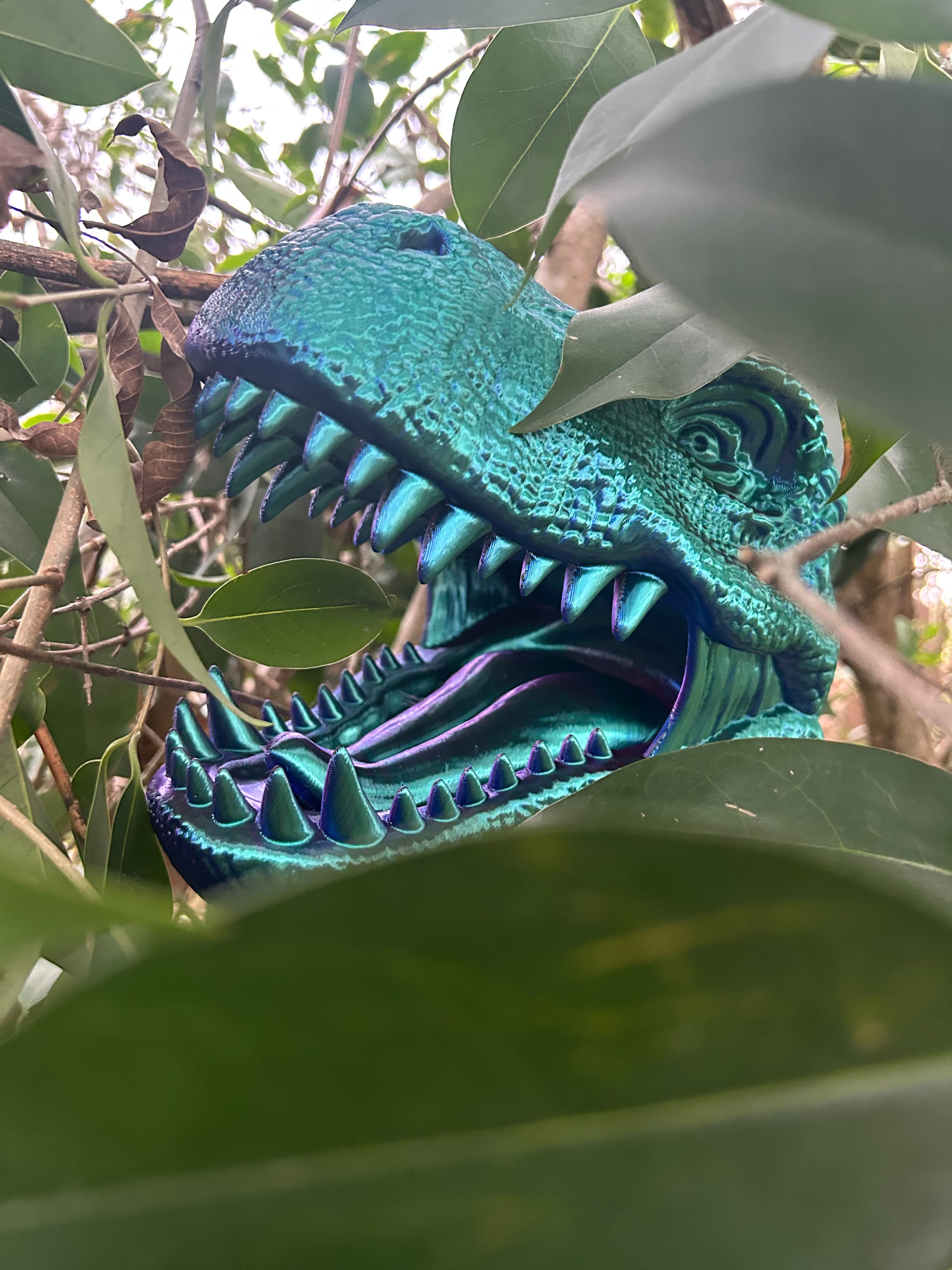 “Rawr” Printed with Comgrow Silk pla RGB