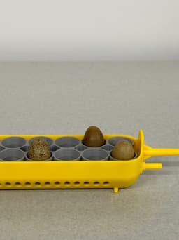 Maticoopx Incubator Parrot or Tiny Button Quail Egg Tray 3d model
