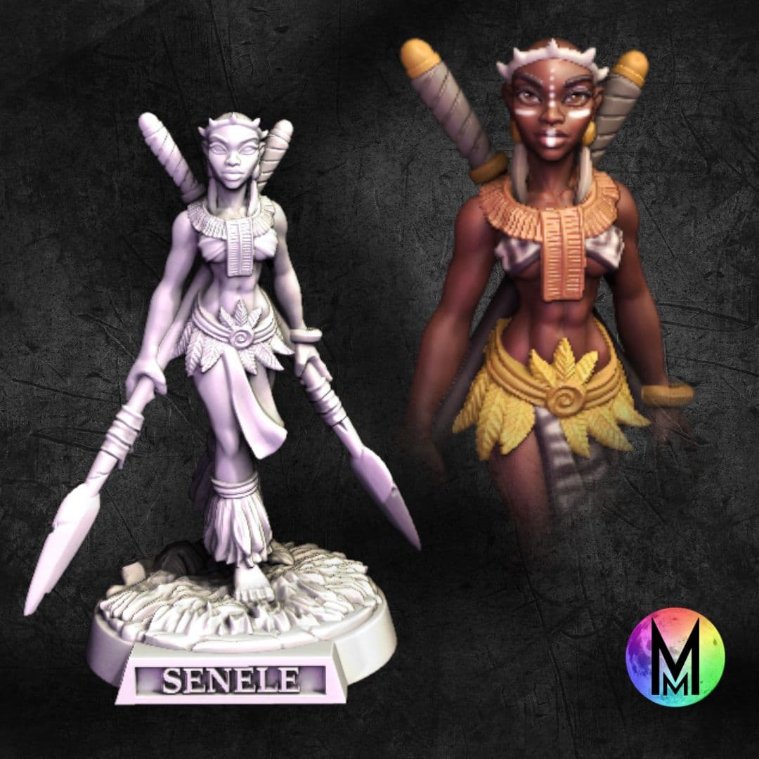 Female Fighter - Senele the Spear wielding fighter. ( Female Human PoC Battle Master) 3d model