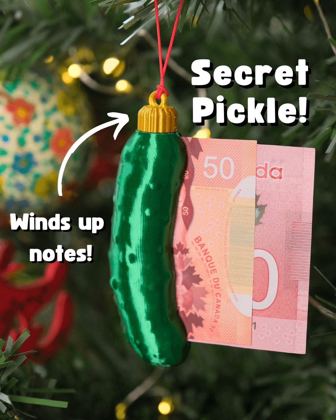 SECRET PICKLE 3d model