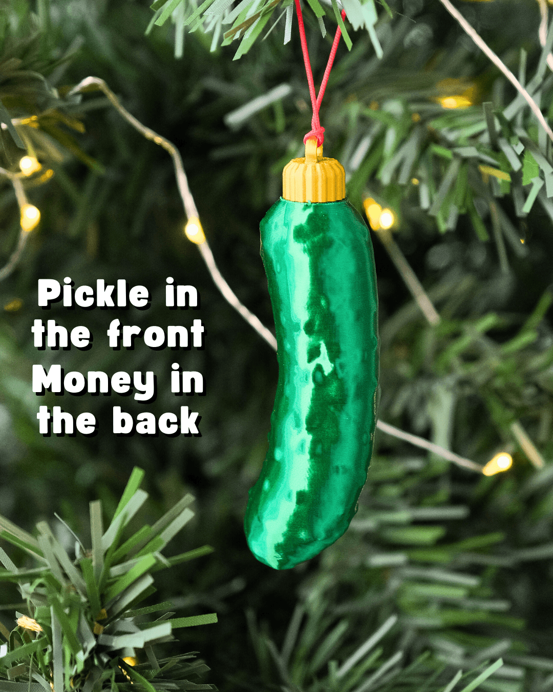 SECRET PICKLE 3d model