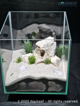 Aquarium & Terrarium Decor Cave | Fish Tank Hide | Terrarium Pet Shelter | Atlantis Catacombs 3d model