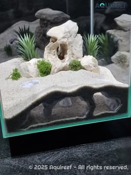 Aquarium & Terrarium Decor Cave | Fish Tank Hide | Terrarium Pet Shelter | Atlantis Catacombs 3d model