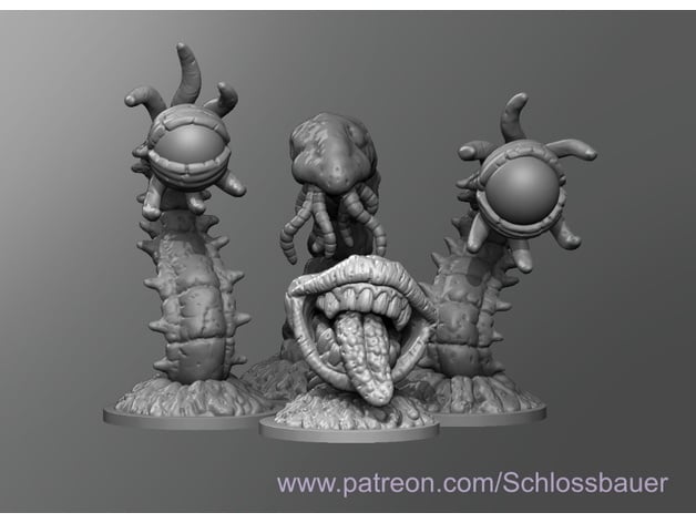 Face Worms 3d model