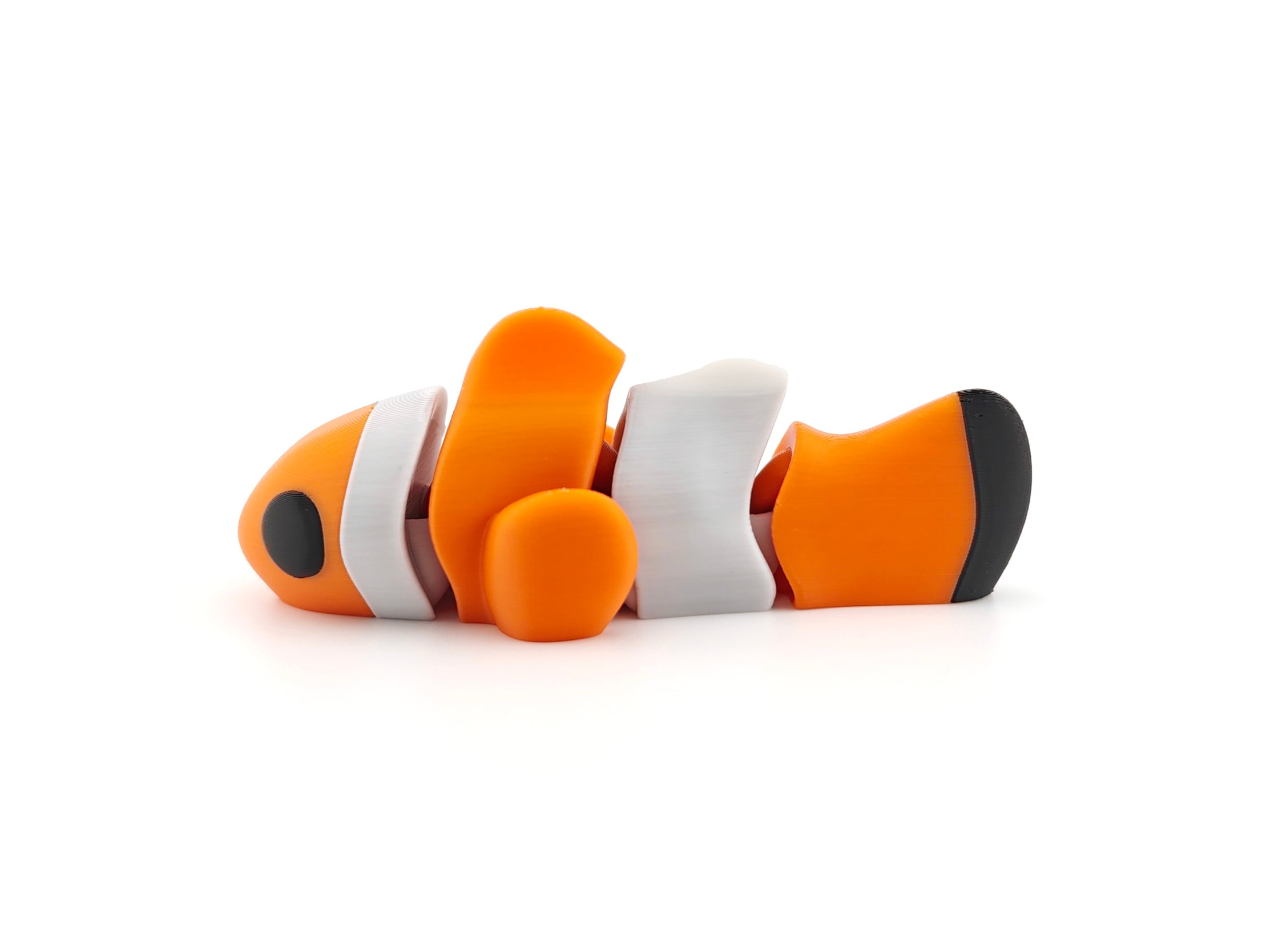 Clownfish 3d model