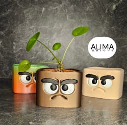 Grumpy buddy plant pot 3d model