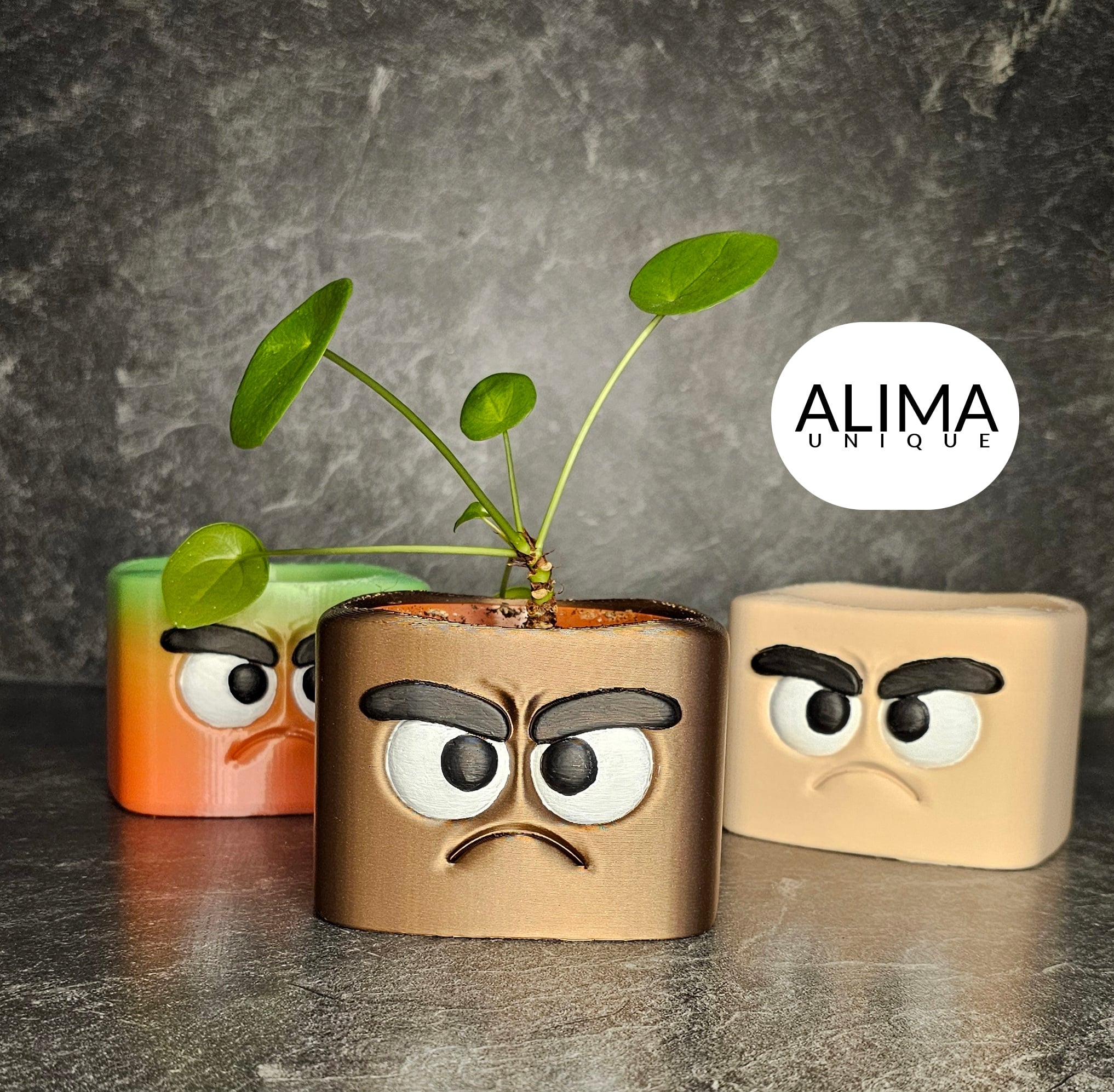 Grumpy buddy plant pot 3d model