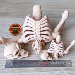 Skeleton Warrior Collectible 3d model