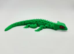 FLEXI RED EYED CROCODILE SKINK 3d model