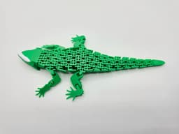 FLEXI RED EYED CROCODILE SKINK 3d model