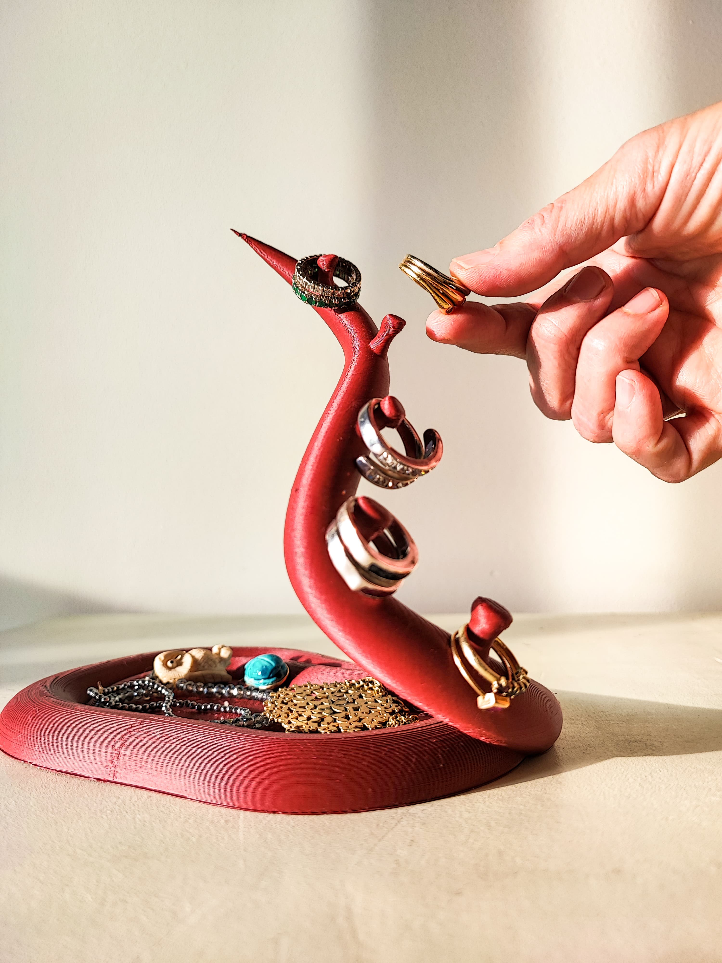 Polipo | Jewelry holder 3d model