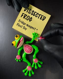 Dissected Frog - Fridge Magnet 3d model