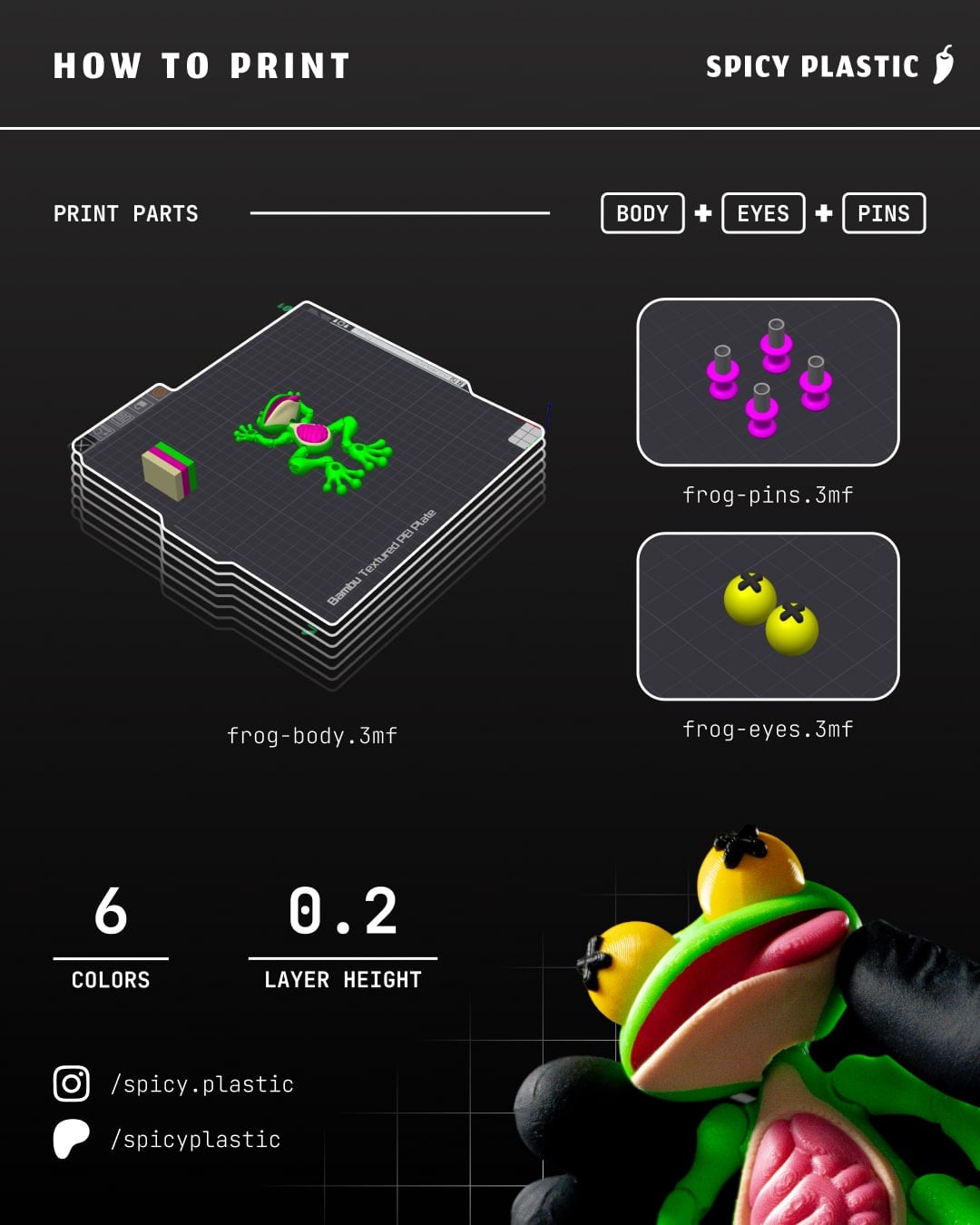 Dissected Frog - Fridge Magnet 3d model