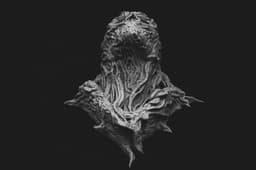 Vecna Wall Bust (Pre Supported) “Hang your trauma like art.” 3d model