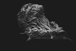 Vecna Wall Bust (Pre Supported) “Hang your trauma like art.” 3d model