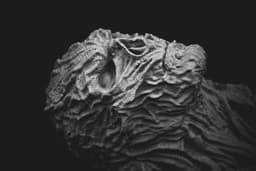 Vecna Wall Bust (Pre Supported) “Hang your trauma like art.” 3d model