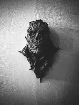 Vecna Wall Bust (Pre Supported) “Hang your trauma like art.” 3d model