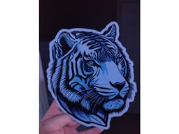 HueForge Tiger Face 3d model