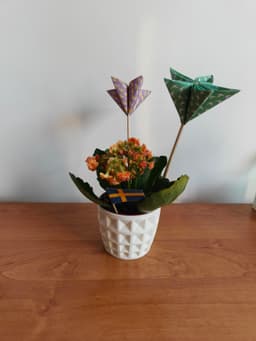 Little flower pot 3d model