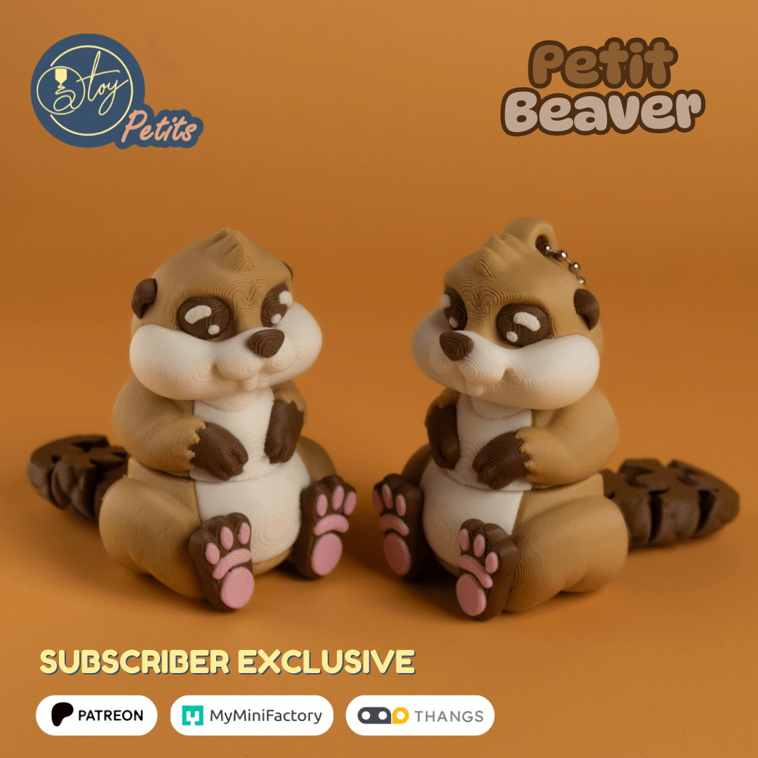 Petit Beaver 3d model