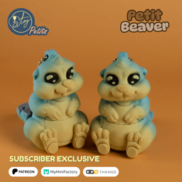 Petit Beaver 3d model