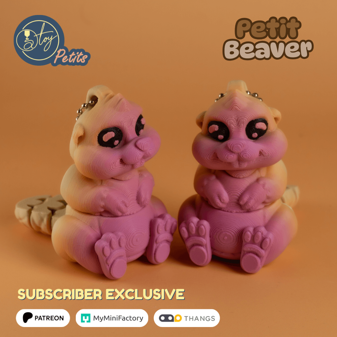 Petit Beaver 3d model