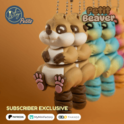 Petit Beaver 3d model
