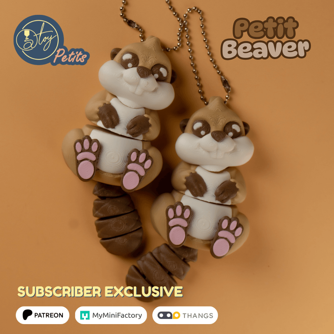 Petit Beaver 3d model