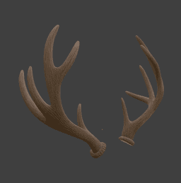 Elk Antlers 3d model