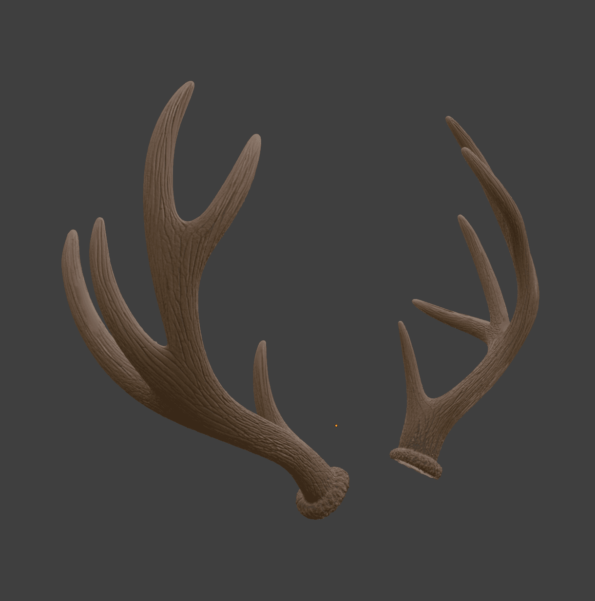 Elk Antlers 3d model