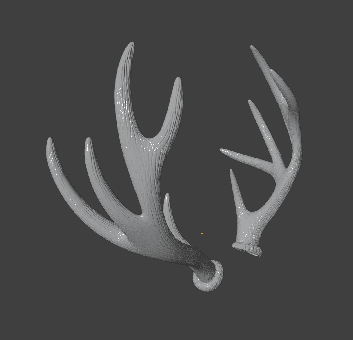 Elk Antlers 3d model