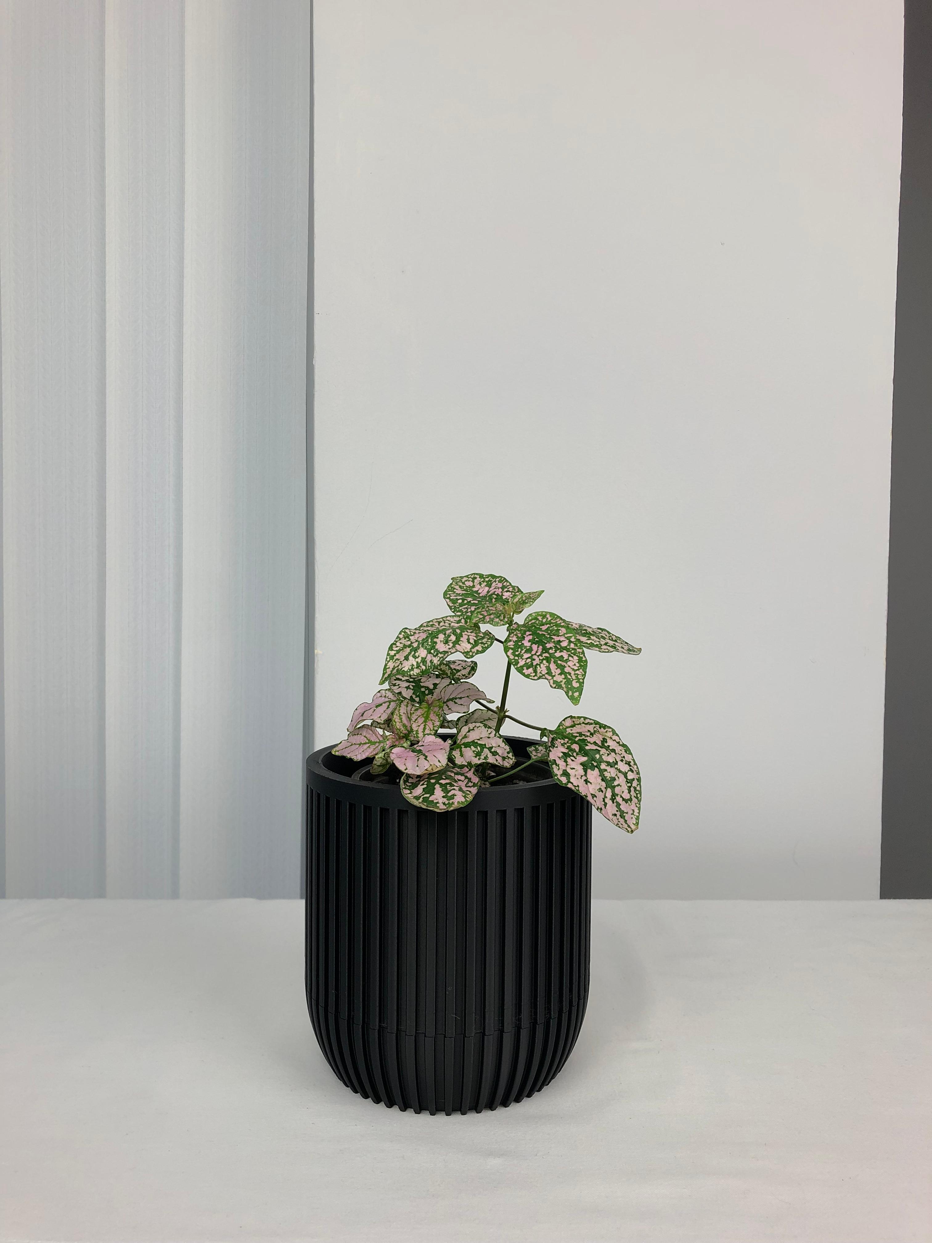 Plant Pot with Drainage  3d model
