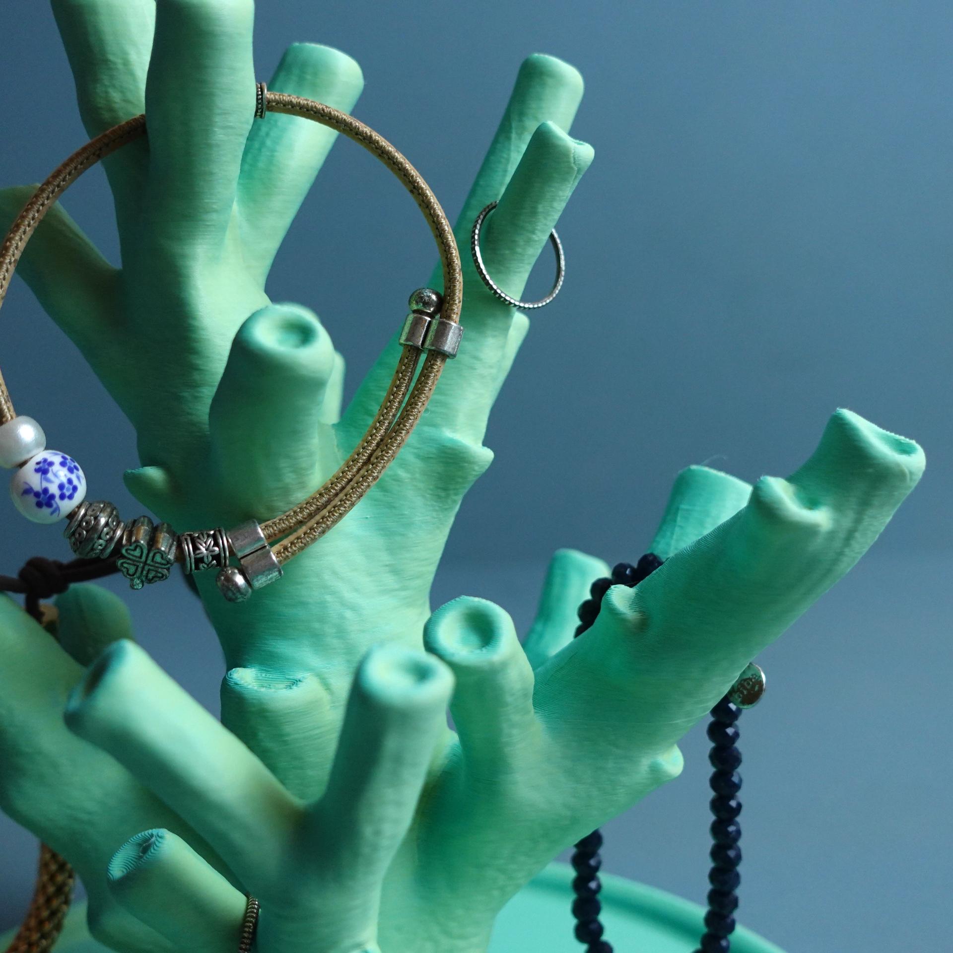 Jewelry holder “echinata coral” 3d model