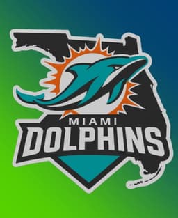 Miami Dolphins Custom Series: Part 2/32 3d model