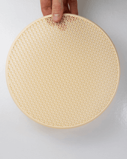 Frisbee 3d model