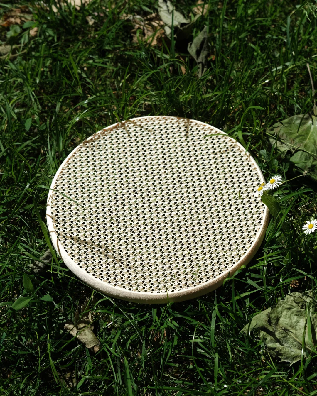 Frisbee 3d model