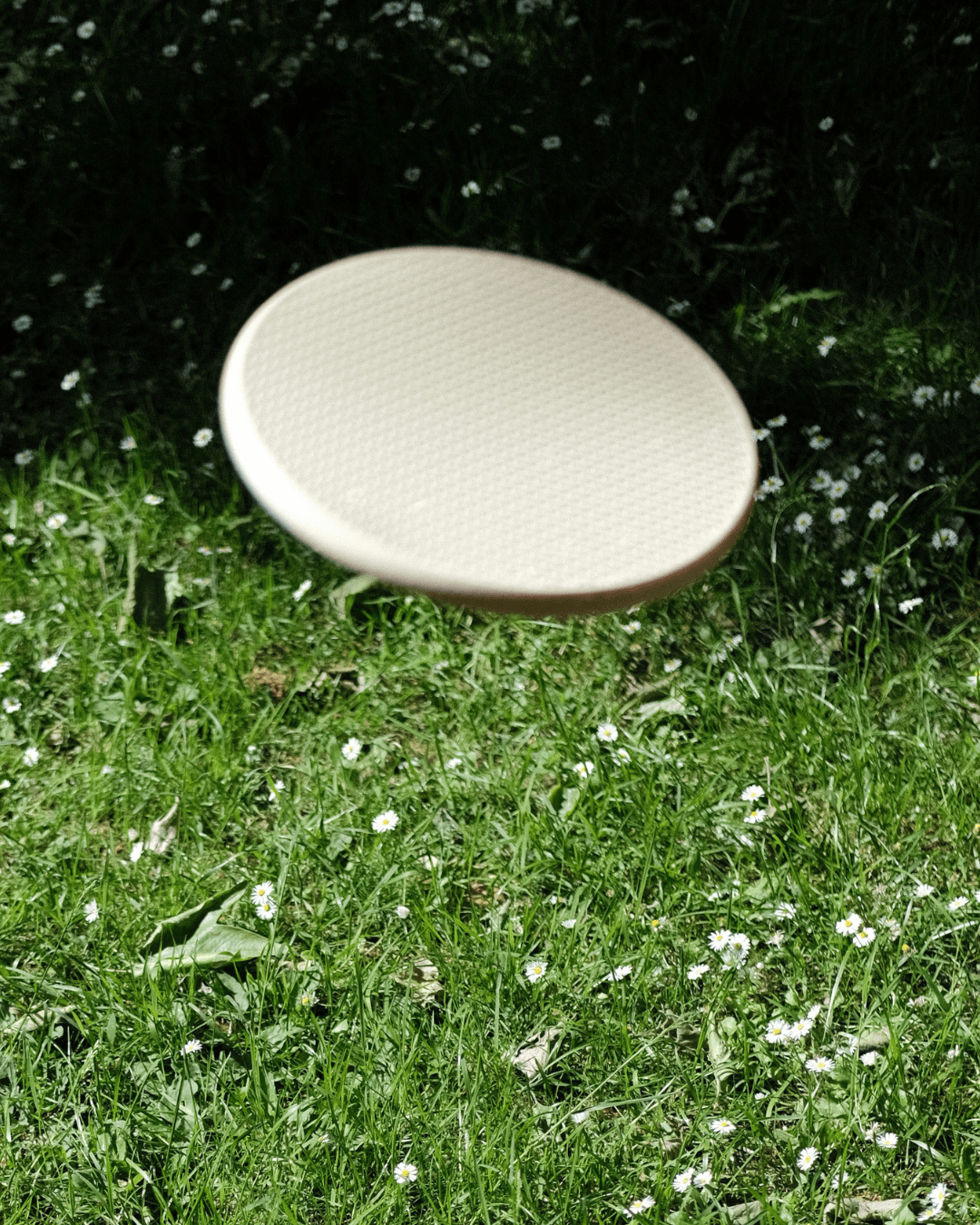 Frisbee 3d model