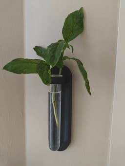 Propogation Tube Holder 3d model