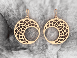 AC-EARRING-008 3d model
