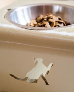 The Purrmiere Bistro for Fancy Felines 3d model